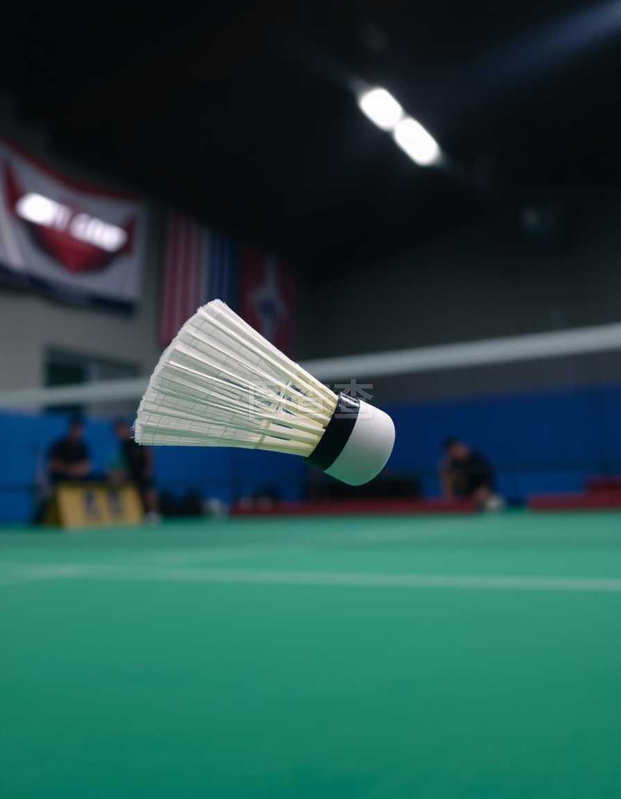 超高效率的 超高效率的